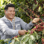 Fairtrade Max Havelaar partners with open up in Switzerland