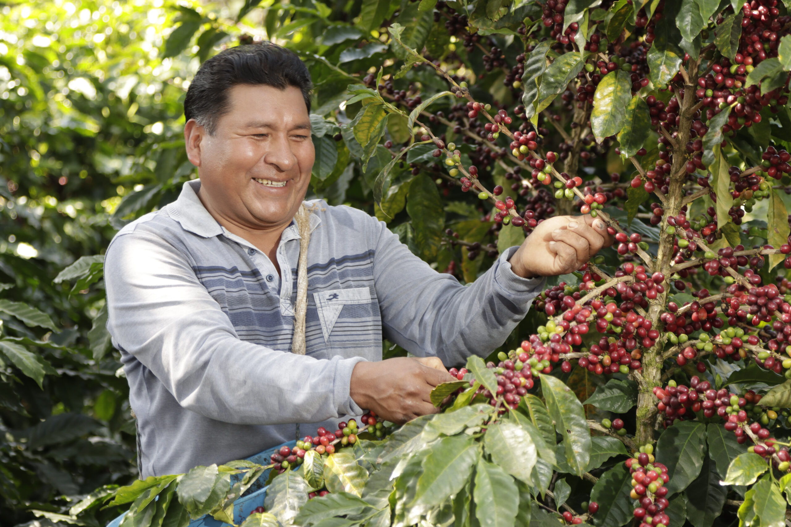 Fairtrade Max Havelaar partners with open up in Switzerland