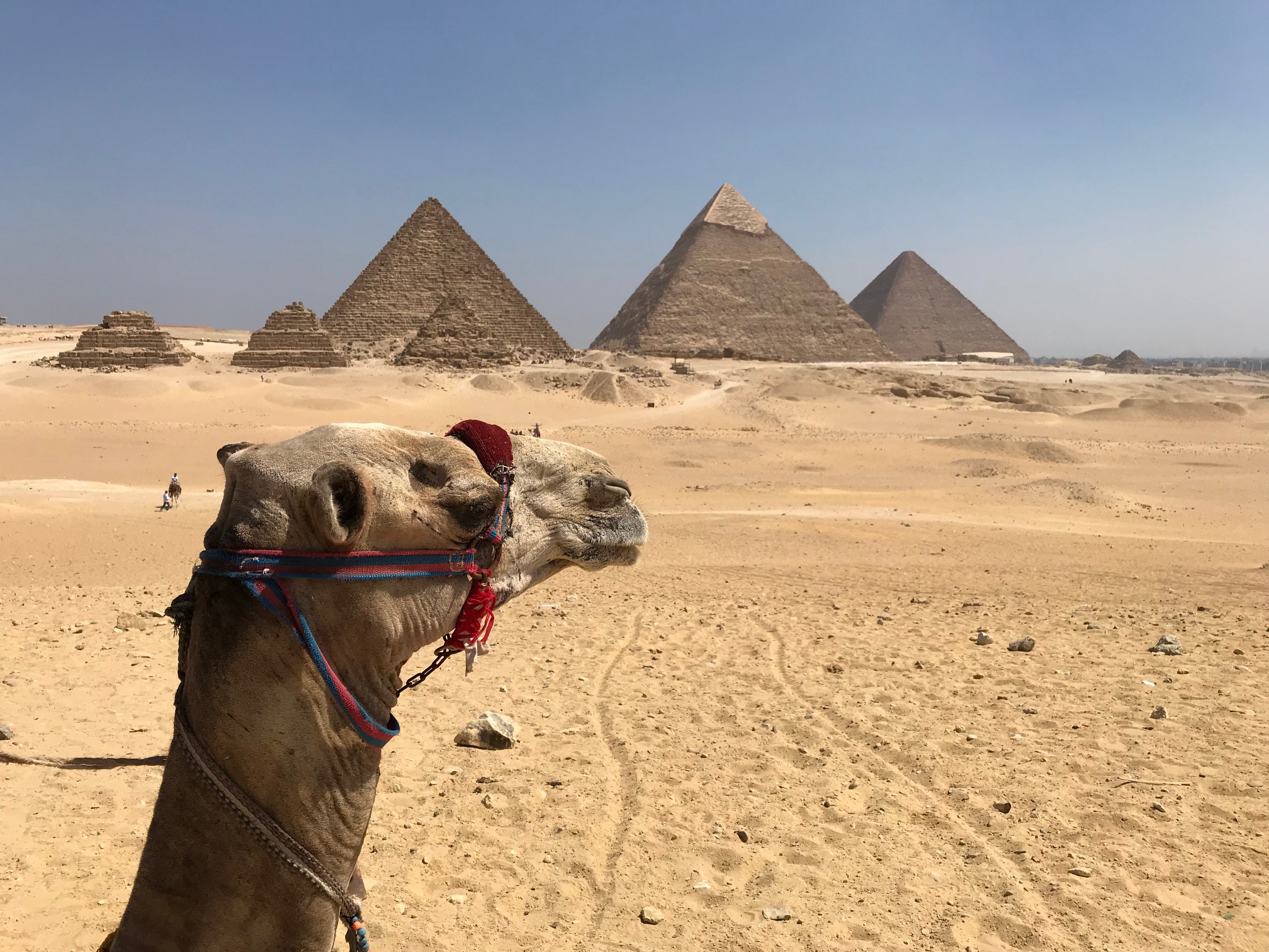 Egypt calling – Sympra goes global with Siemens Stiftung at the empowering people. Award