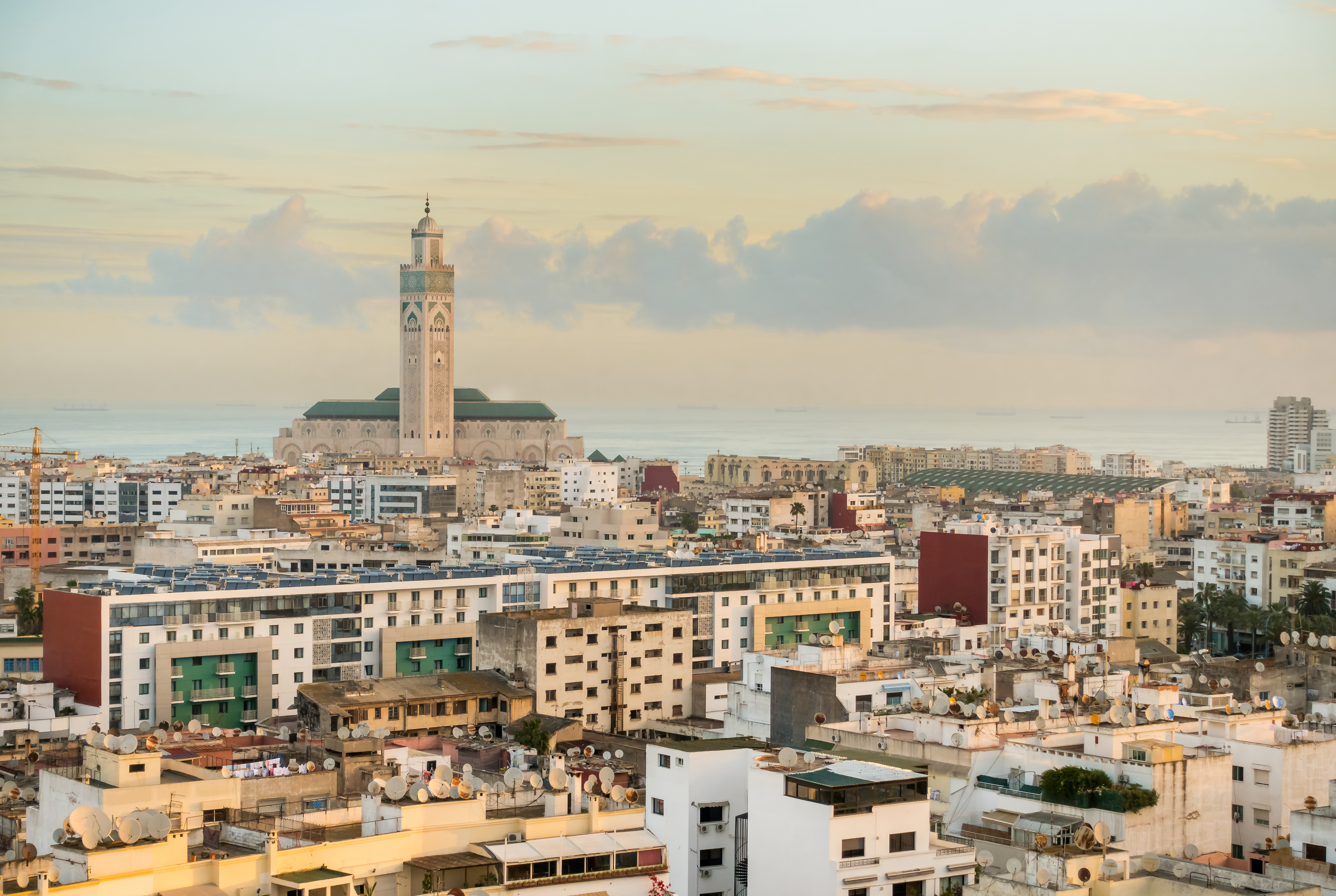 Putting Down Roots in Northern Africa – BOXCOM joins Public Relations Network