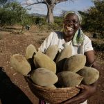Building an African biotrade
