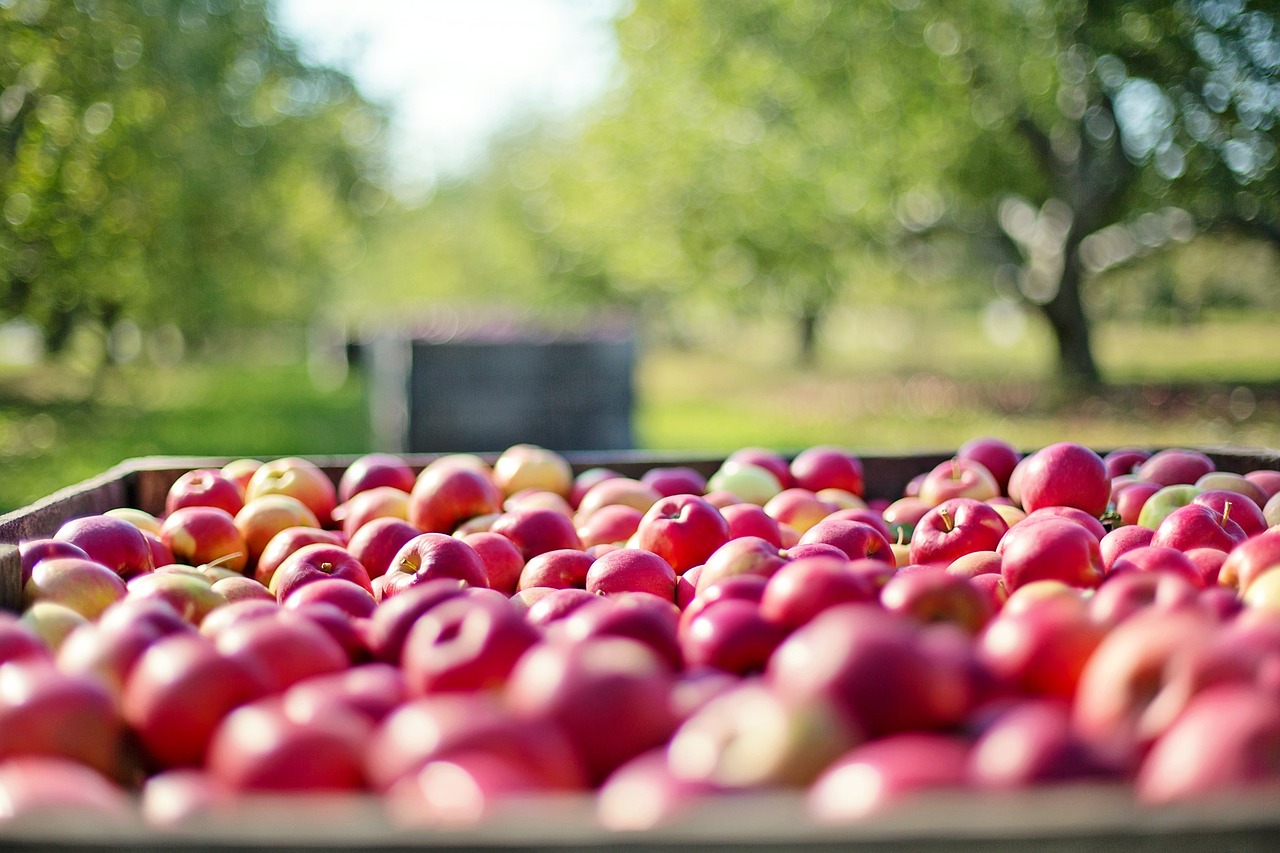 Crisis management for the food industry